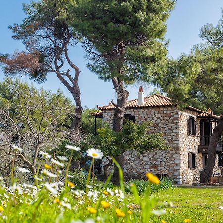 Elli Cottage Skopelos Dış mekan fotoğraf