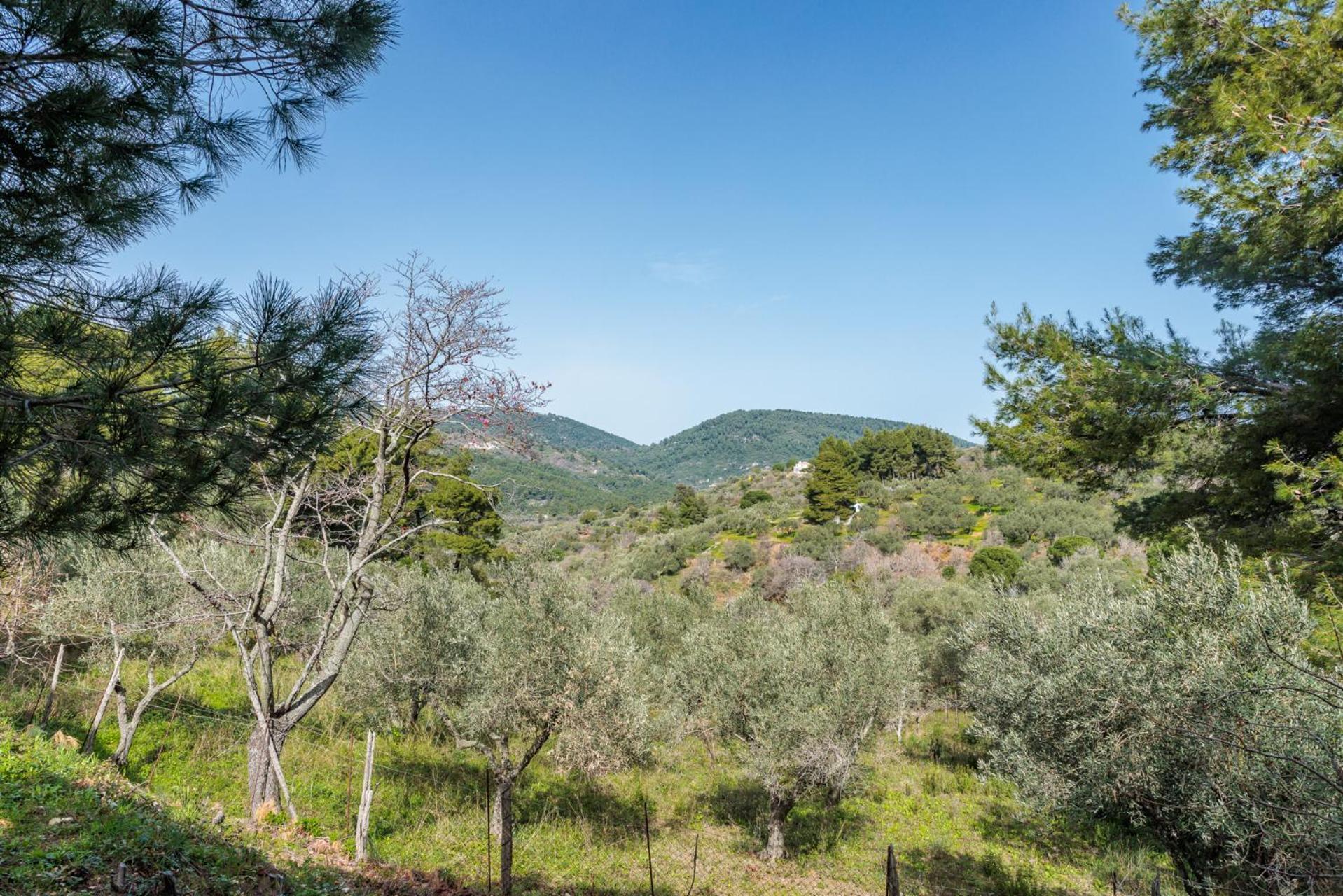 Elli Cottage Skopelos Dış mekan fotoğraf